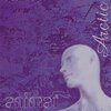 Animat - Arctic