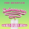 Las Bibas from Vizcaya、Nina Flowers、Pavblo Ibarra《Sabrosura (Pavblo Ibarra Remix)》[MP3/LRC]