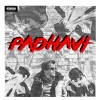 Alan Shoji、the average dude - Padhavi (Explicit)
