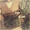 Lounna - Pennies in the Fountain (Live from Home)
