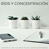 Música para Oficinas Musica De Fondo、Música para el Trabajo、Ruido Para Concentración - Fases De Estudio