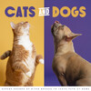 Relaxing Dog Music Classics、Songs for Dogs to Sleep To、Cat Music Studio - Music & Toys