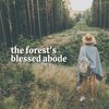 Nature Sounds Artists - Most Perfect Refreshment