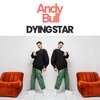 Andy Bull - Dying Star