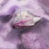 Collarbones、marcus whale、TRAVIS COOK - Voyeur