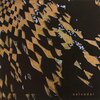 salvador、Lucas Evans、Felix Church、Jude Machan、Jan Ashwell - Salvador