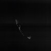 Frisco、Deshane Cornwall - Black Man