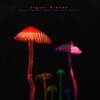 Jaguar Dreams、boys get hurt、Michael Kelly、Tim Kierly、Ben Eberdt - Mean Somethin (Boys Get Hurt Remix)