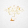 David Gray、Ben de Vries - A Tight Ship (Acoustic Version)