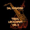 Sal Paradise、Tim Sanders - Solid Gone