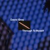 David Gray - Through to Myself