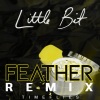 Timeflies、Feather、Rob Resnick、Cal Shapiro - Little Bit (Feather Remix|Explicit)