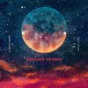 Moon Groove - Night Wish