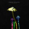 Jaguar Dreams、LEFTI - Behind Those Clothes (LEFTI Remix)
