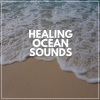 Soul Healer《Along the Shoreline》[MP3/LRC]