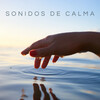 Música Para La Relajación、Playlist Musica para Leer、Relájate Ruido - Experiencia En El Bosque
