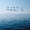 Vibraciones Tranquilas、Masajes Spas、Serenidad y Armonía《Duerme Junto Al Mar》[MP3/LRC]