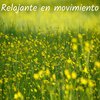 Relaxing Music - Una gata