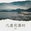鹰雄 - 几度花落时