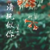 浅笑安然 - 清风似你 (remix: 石大侠(石颖))