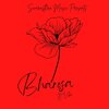 Swarasthra Music、V I B E - Bharosa (feat. V I B E)