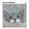 Cat Music - My Kitten's Area of Meditation