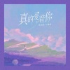 郑添媛、兰姗姗《真的爱着你 (女生版)》[MP3/LRC]