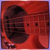 Edu Bass Gioielli - Instinto