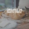 Cat Music - Regal Feline Calming Music for Your Cat, Pt. 38