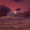 Sped Up Mage、Syrex、Cour、New Beat Order、Veronica Bravo、Taylor Mosley - Stereo Love (Sped Up)