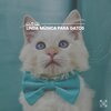 Cat Music - Regal Feline Calming Music for Your Cat, Pt. 38