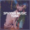 Music For Cats Peace - Soothing Melodies to Calm Your Cat, Pt. 38