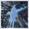 We Dream Of Eden - Domus