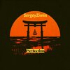 SergeyZimin - Perfection