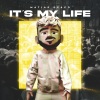 Matias Deago、ROSE BEAT - It's My Life (Remix)