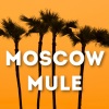 ROSE BEAT、Lipa DJ - Moscow Mule (Remix)
