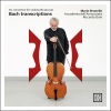 mario brunello、Accademia Dell'Annunciata、Riccardo Doni、Johann Sebastian Bach - I. Andante