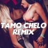 Dj Alex、Seba Bootleg、EL NOBA - Tamo Chelo (Remix)