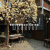 一只禧太阳 - We Are Never Ever Getting Back Together