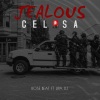 ROSE BEAT、Lipa DJ - Celosa (Remix)