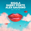 Sigala、Gabry Ponte、Alex Gaudino《Rely On Me》[MP3/LRC]