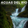 Naturaleza Sonidos、Música Para Dormir Rápido、Musica para Dormir 101 - Jugando En El Parque
