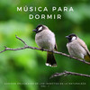 Especialistas de Musica para Dormir、Meditación Trascendental、Sonidos de la Naturaleza para Dormir - 412 hz Cuencos Binaurales
