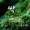 금상욱 - 싹 (하모니카) 연주곡