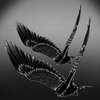 OTB、Jordan Francis - Chance (Explicit)