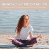 Sonidos De Oceano、Meditaciones Espirituales、Meditación Con Ruido Rosado《Corrientes Para La Meditación》[MP3/LRC]