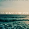 4D Nature Recordings、Shoreline Sounds、Relaxing Sounds of Nature White Noise Waheguru - Resolution