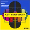 V.O.Y《Under Gravity (Original Mix)》[MP3/LRC]