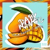 Luca Rezza、Jamis - Baby Manec