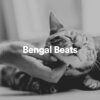 Music For Cats Peace - My Way to Calm My Cat